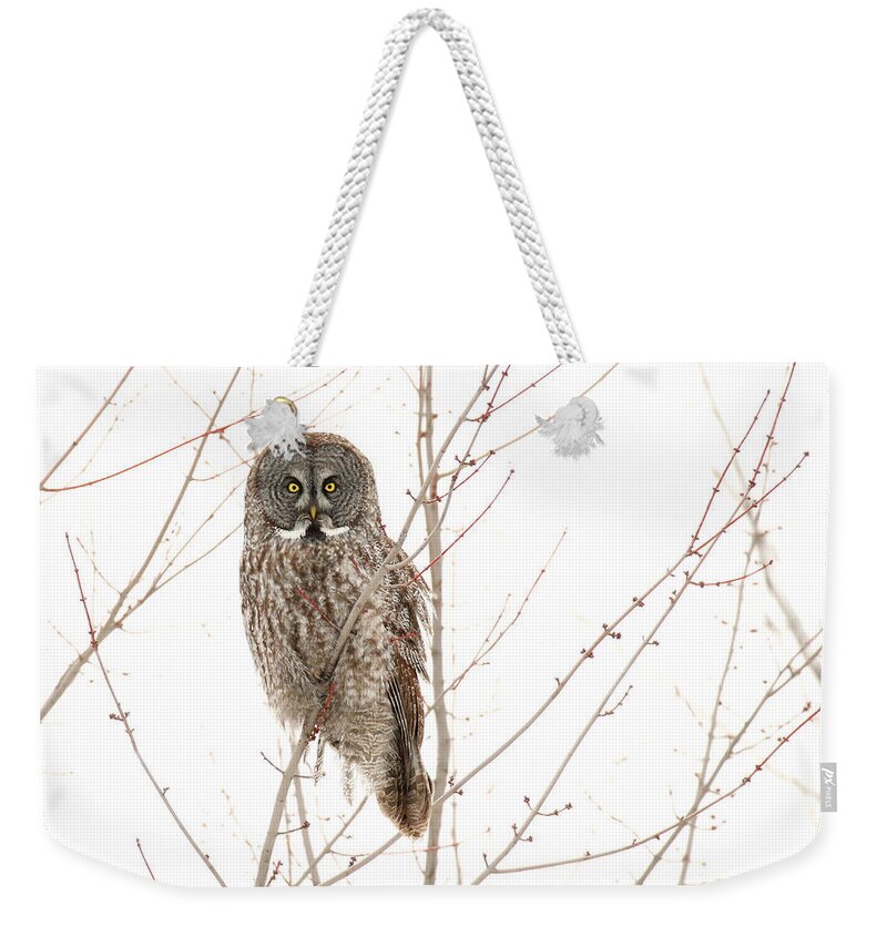 Great Gray Owl Weekender Tote Bag featuring the photograph Watching You by Heather King