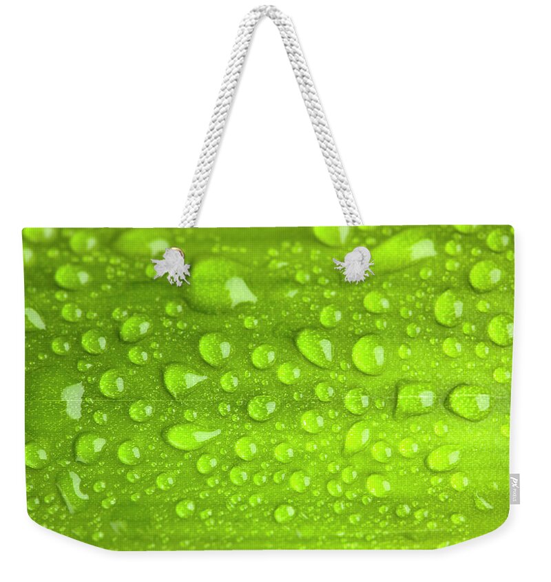 Outdoors Weekender Tote Bag featuring the photograph Water Drop On Green Leaf Background by Ruslandashinsky