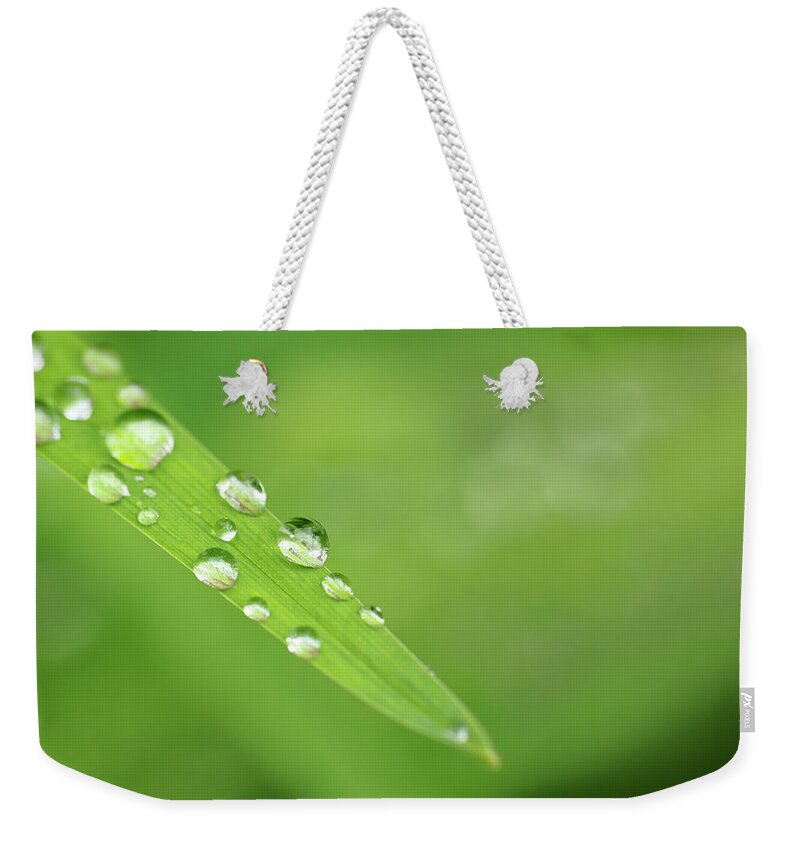 Outdoors Weekender Tote Bag featuring the photograph Water Drops On A Blade Of Grass by Cornelia Doerr