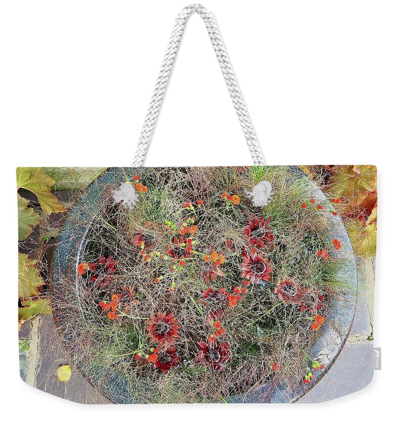 Flowers Weekender Tote Bag featuring the photograph Water Garden Snow Globe by Alida M Haslett