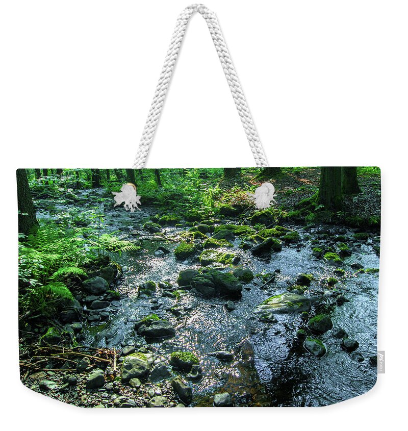 Forest Weekender Tote Bag featuring the photograph Water in a dark forest by Sun Travels