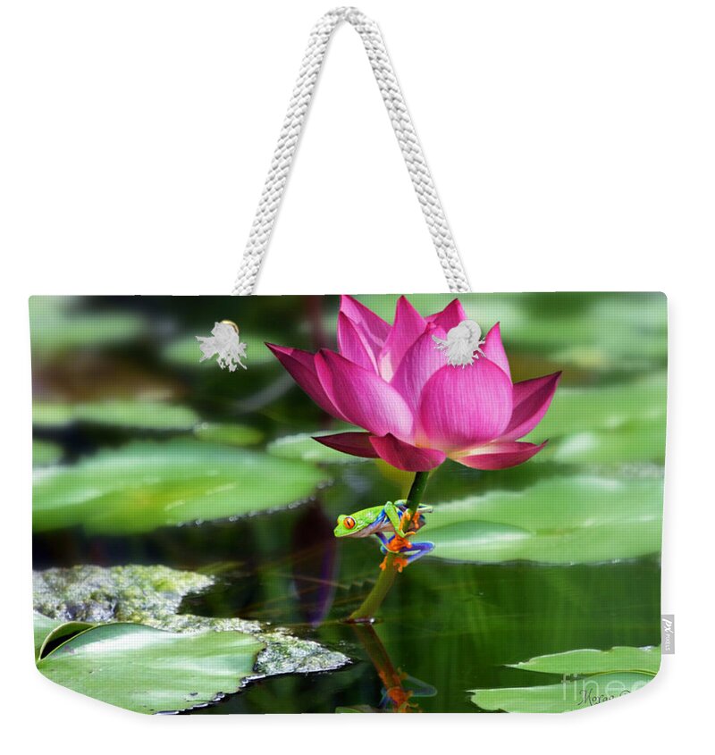 Red Eye Tree Frog Weekender Tote Bag featuring the mixed media Water Lily and Little Frog by Morag Bates