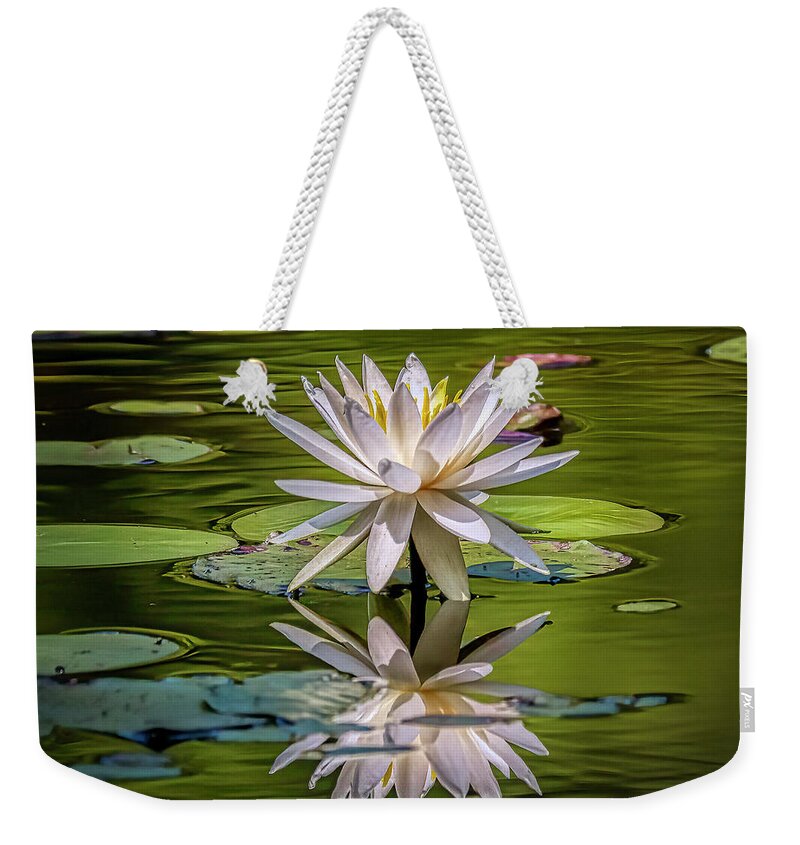 Floral Weekender Tote Bag featuring the photograph Water Lily In Bloom by JASawyer Imaging