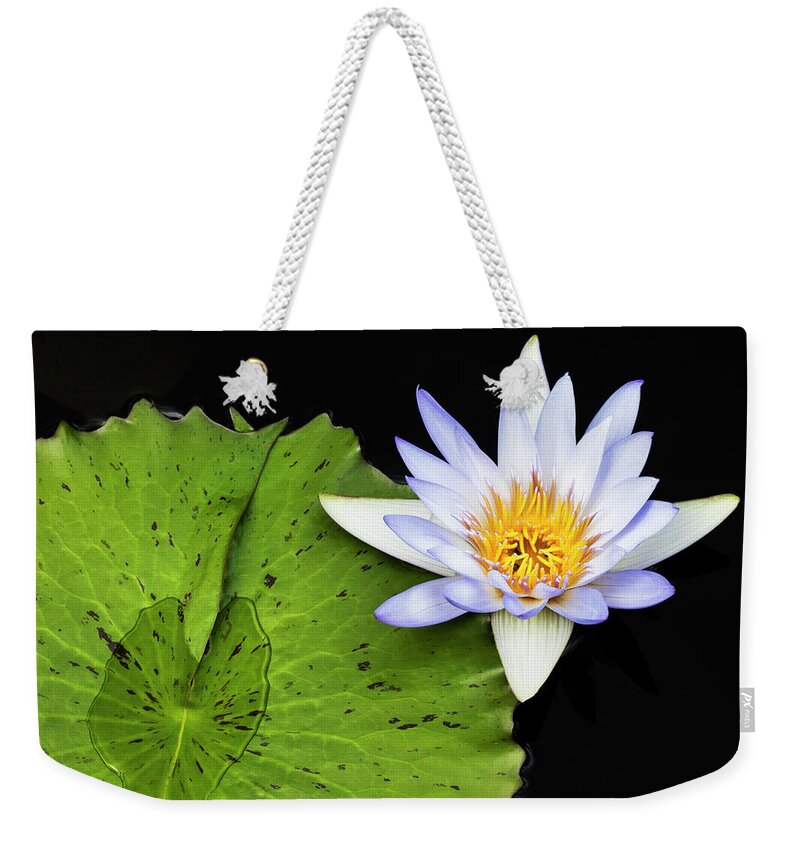 Water Lily Weekender Tote Bag featuring the photograph Water Lily by Patty Colabuono
