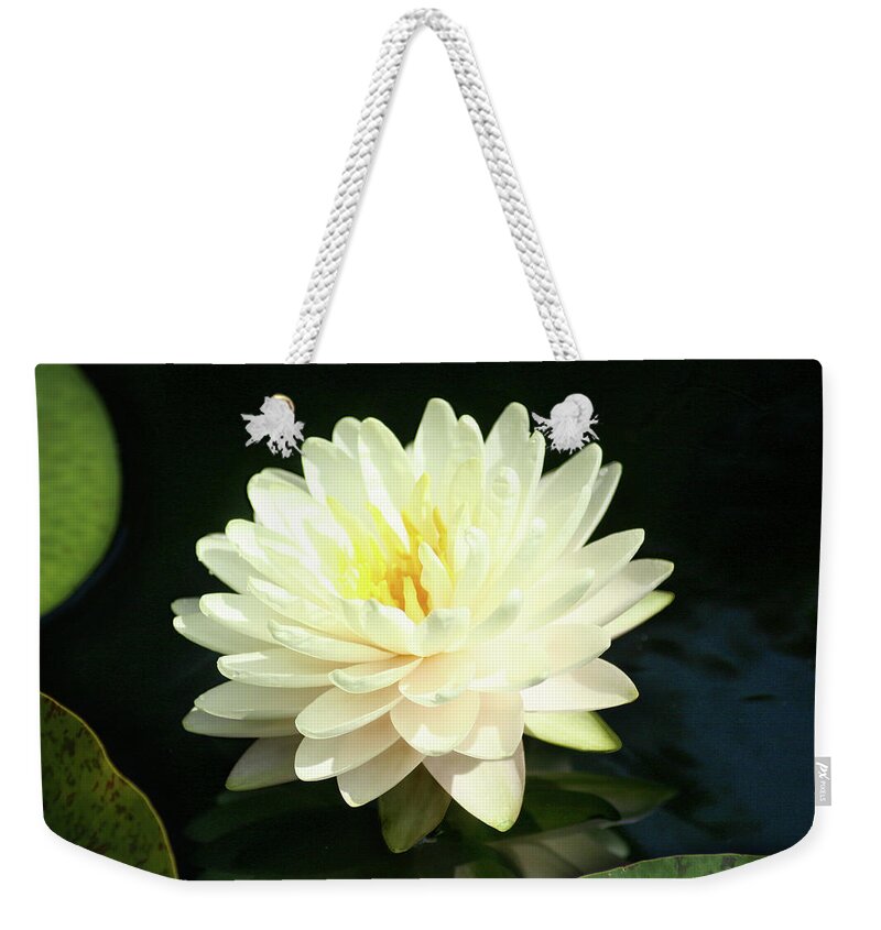 Flower Weekender Tote Bag featuring the photograph Water Lily by Steve Karol