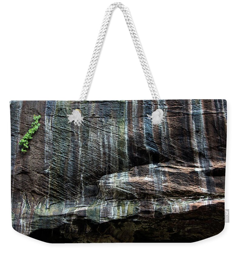 Desert Varnish Weekender Tote Bag featuring the photograph Water on Stone in Zion by Jonathan Thompson