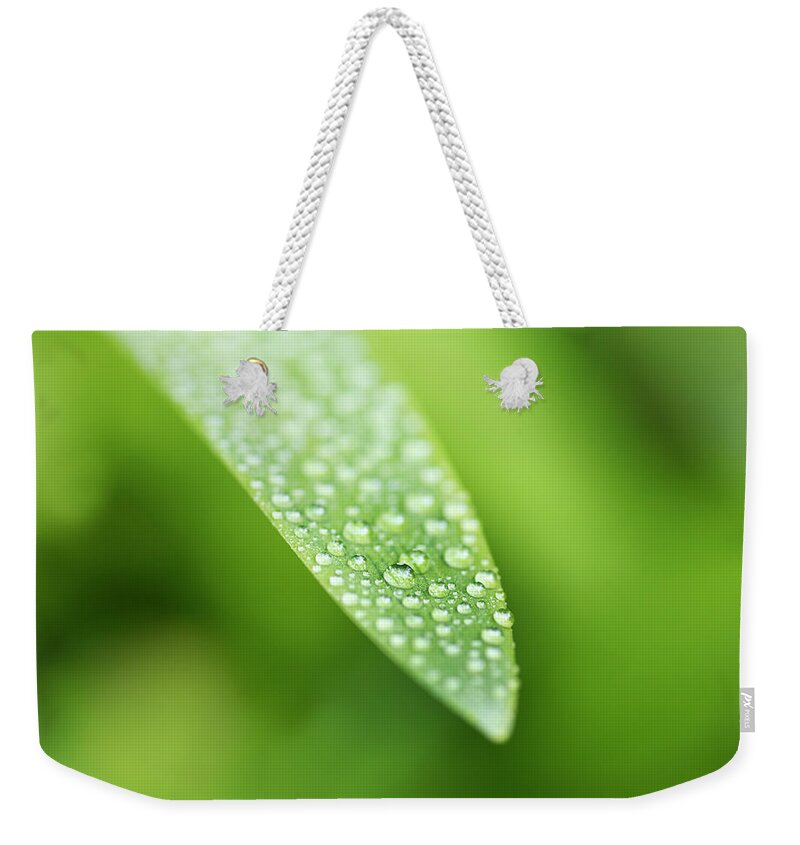 Outdoors Weekender Tote Bag featuring the photograph Waterdroplets by Jeremy Hudson