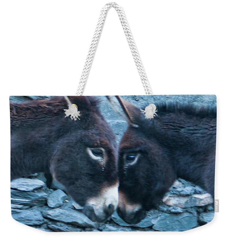 Burro Weekender Tote Bag featuring the photograph Eye To Eye, Nose To Nose, Heart To Heart by Leslie Struxness