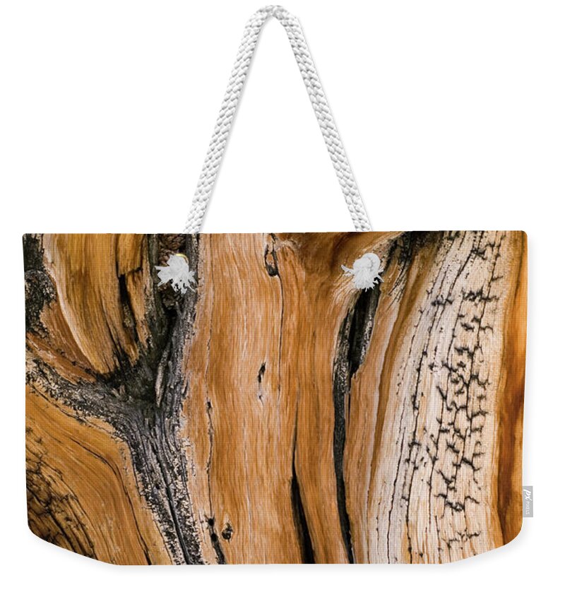 Weathered Weekender Tote Bag featuring the photograph Weathered Wood Of Ancient Bristlecone by Kevin Schafer