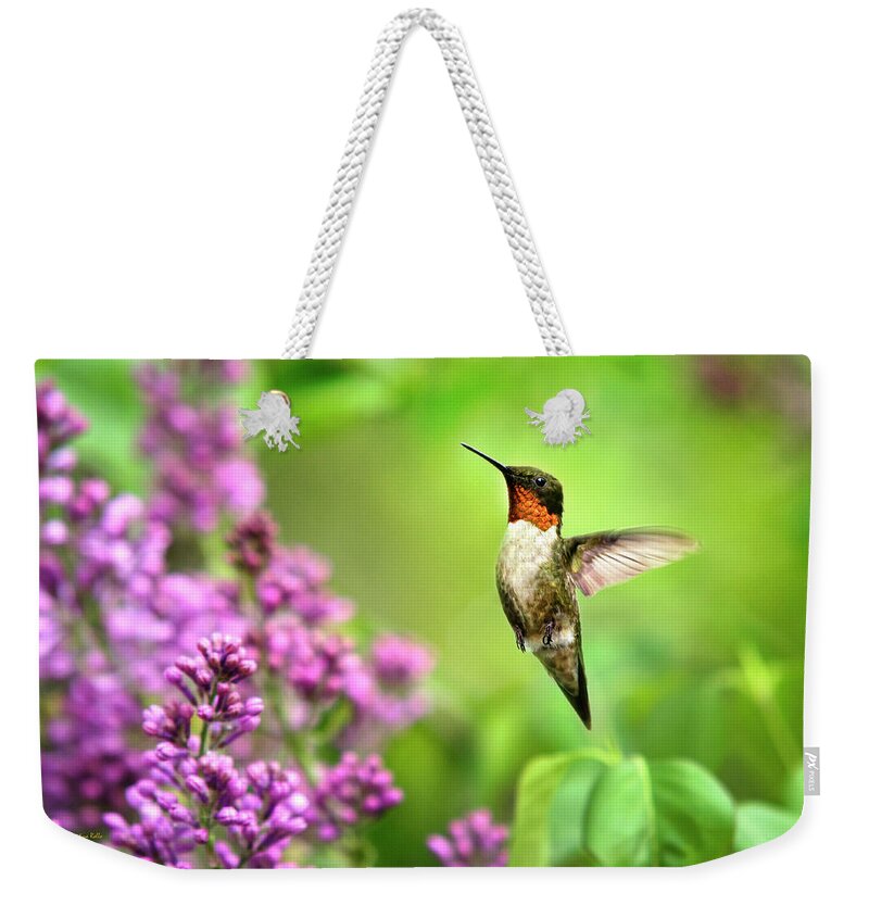 Hummingbird Weekender Tote Bag featuring the photograph Welcome Home Hummingbird by Christina Rollo