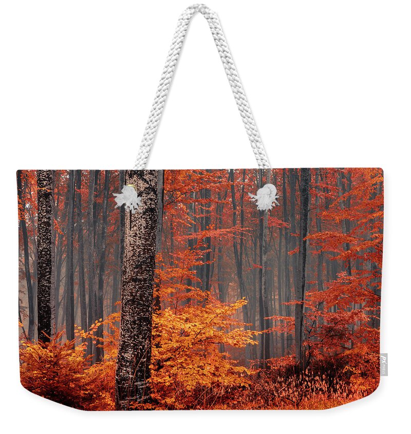 Mist Weekender Tote Bag featuring the photograph Welcome To Orange Forest by Evgeni Dinev