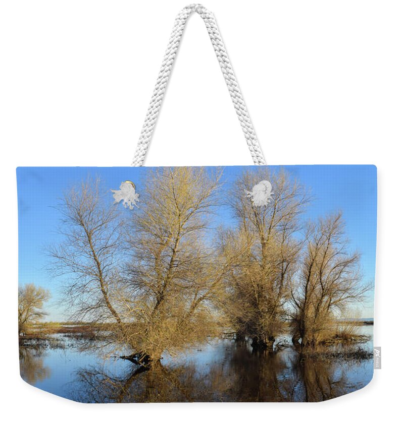 Wetlands Weekender Tote Bag featuring the photograph Wetland Story by Alan C Wade