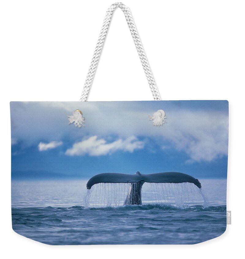 Whale Weekender Tote Bag featuring the photograph Whale by Stuart Westmorland