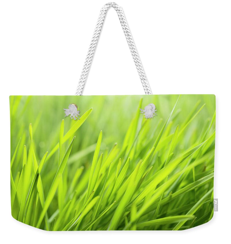 Grass Weekender Tote Bag featuring the photograph Wheatgrass by J Shepherd