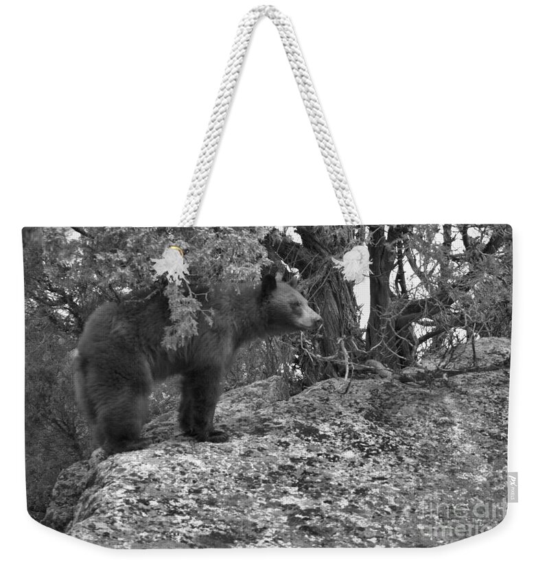 Black Bear Weekender Tote Bag featuring the photograph Where THe Cliffs Meet The Forest Black And White by Adam Jewell