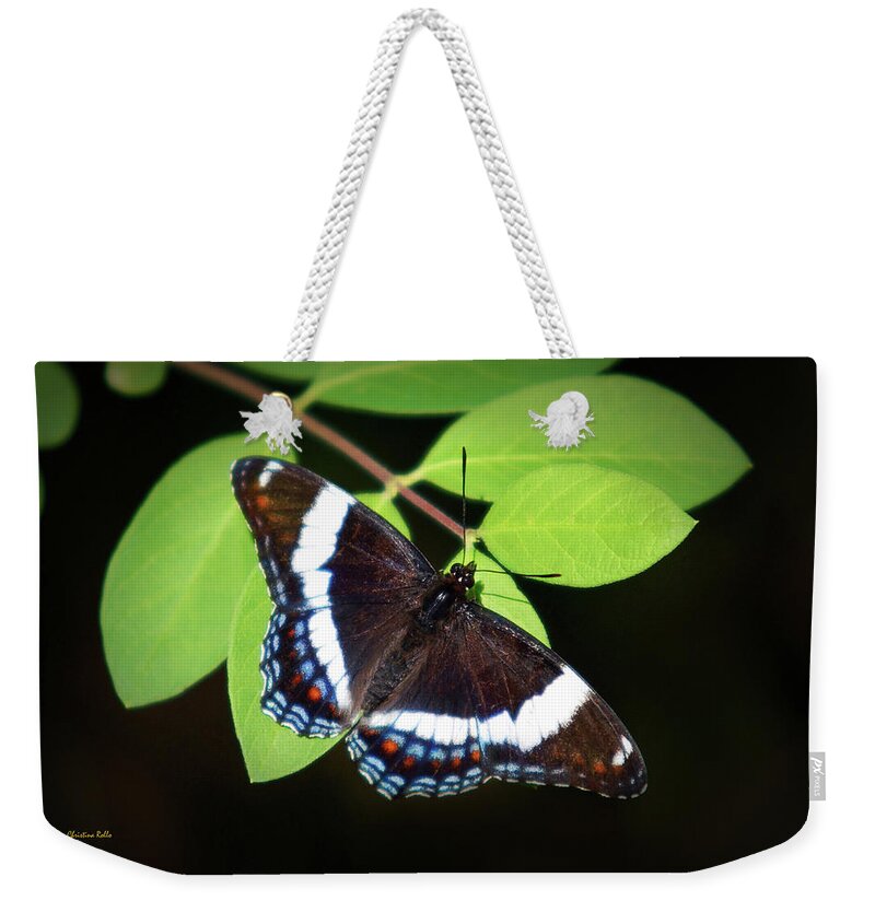 Butterfly Weekender Tote Bag featuring the photograph White Admiral Butterfly by Christina Rollo