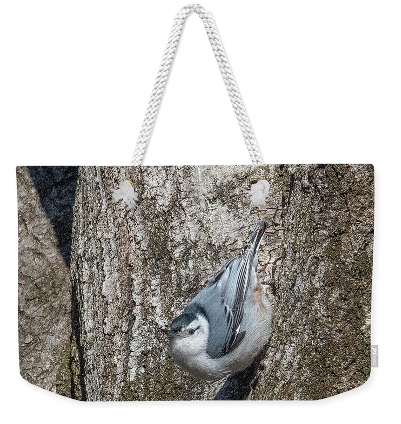 Nature Weekender Tote Bag featuring the photograph White-breasted Nuthatch DSB0336 by Gerry Gantt