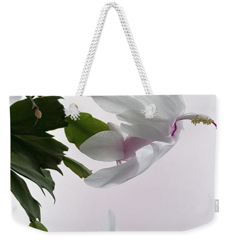 Floral Weekender Tote Bag featuring the photograph White Christmas cactus by Shirley Mitchell