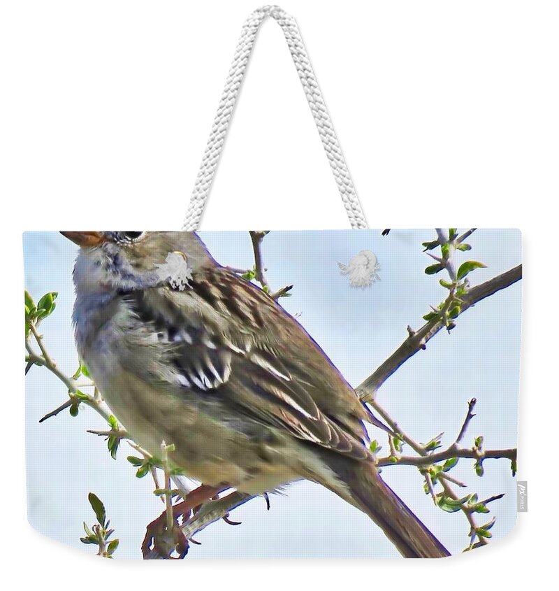 Affordable Weekender Tote Bag featuring the photograph White-Crowned Sparrow on Creosote by Judy Kennedy