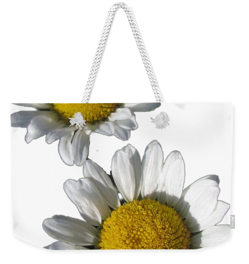 White Daisies Weekender Tote Bag featuring the photograph White Daisies Flower Best for Shirts by Delynn Addams