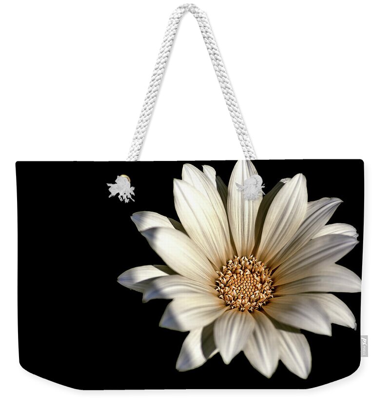 On Black Weekender Tote Bag featuring the photograph White Daisy on Black by Alison Frank