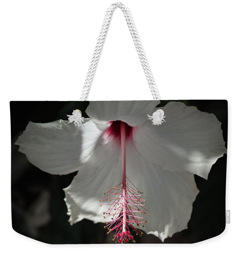 Hibiscus Weekender Tote Bag featuring the photograph White Hibiscus by Aaron Burrows