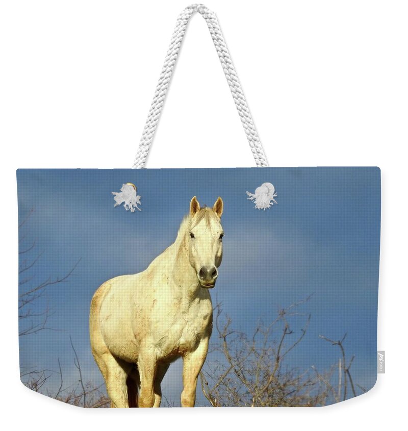  Weekender Tote Bag featuring the photograph White Horse by Kathy Ozzard Chism