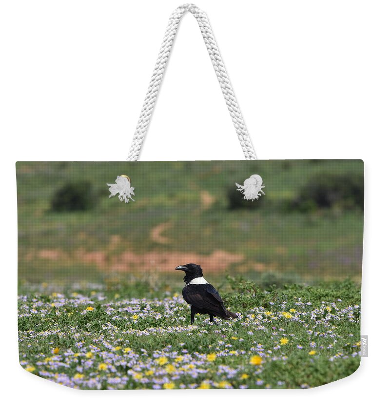 Raven Weekender Tote Bag featuring the photograph White Necked Raven by Ben Foster