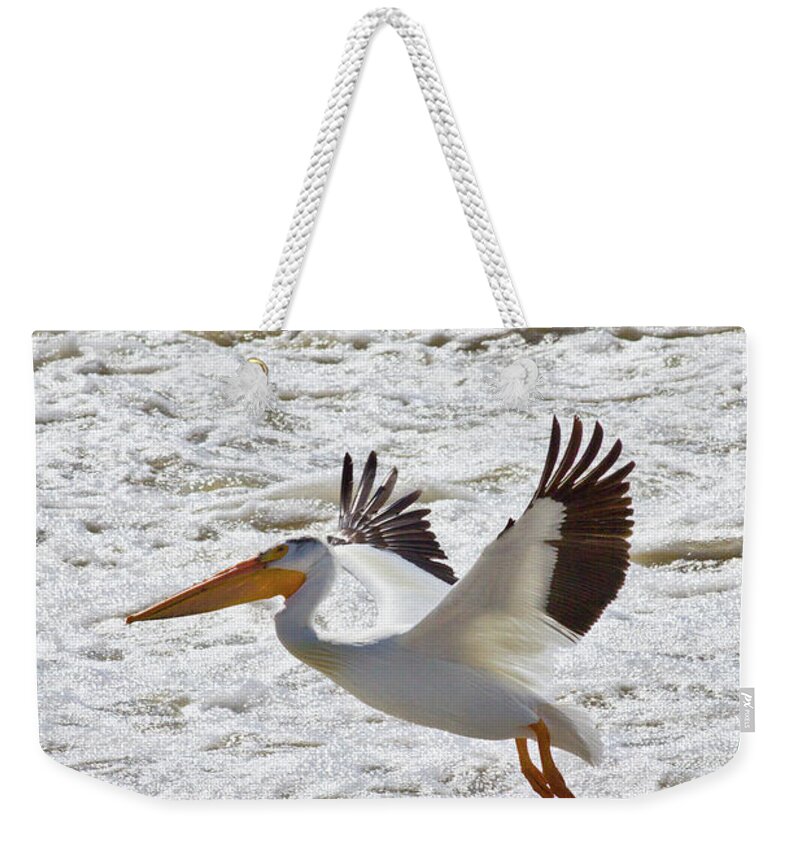 Animal Themes Weekender Tote Bag featuring the photograph White Pelican Landing In Water by Klassen Images