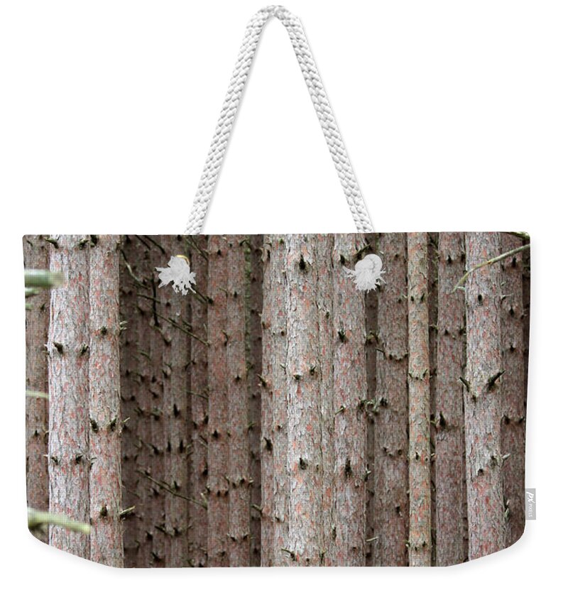 White Pines Weekender Tote Bag featuring the photograph White Pines by Paula Guttilla