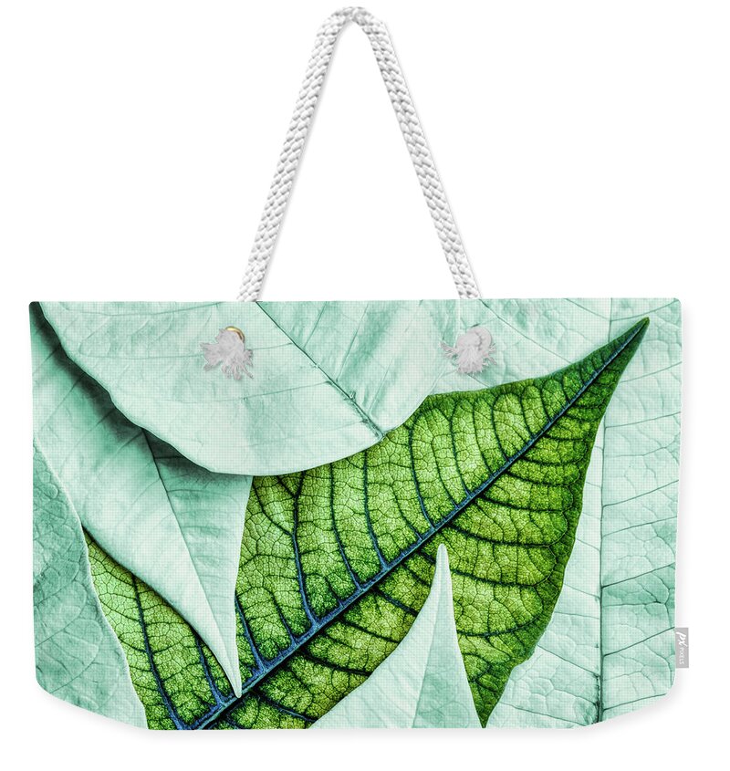 Pointsettia Weekender Tote Bag featuring the photograph White Poinsetta Macro by Tom Mc Nemar