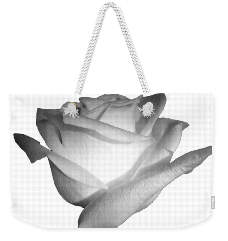 White Weekender Tote Bag featuring the photograph White Rose Cropped Best for Shirts by Delynn Addams