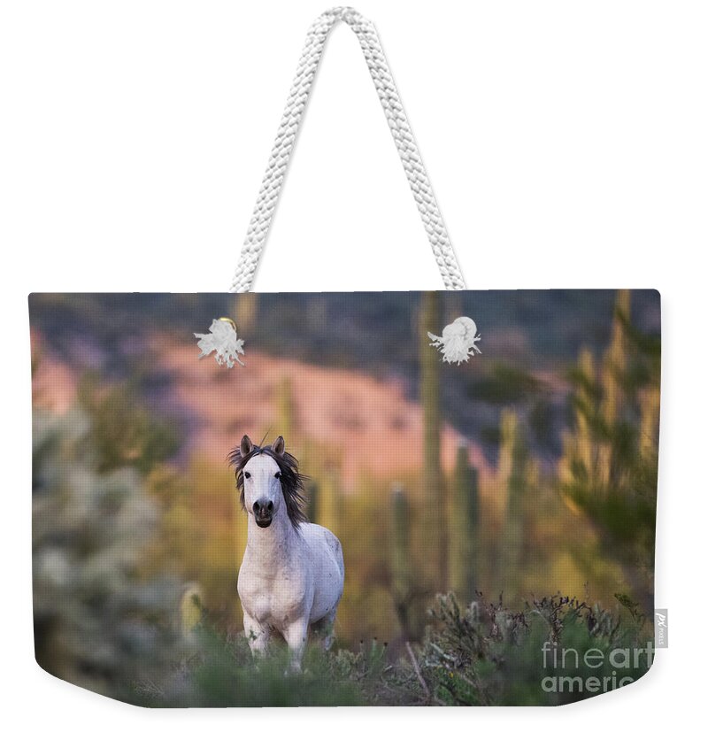Stallion Weekender Tote Bag featuring the photograph White Stallion by Shannon Hastings