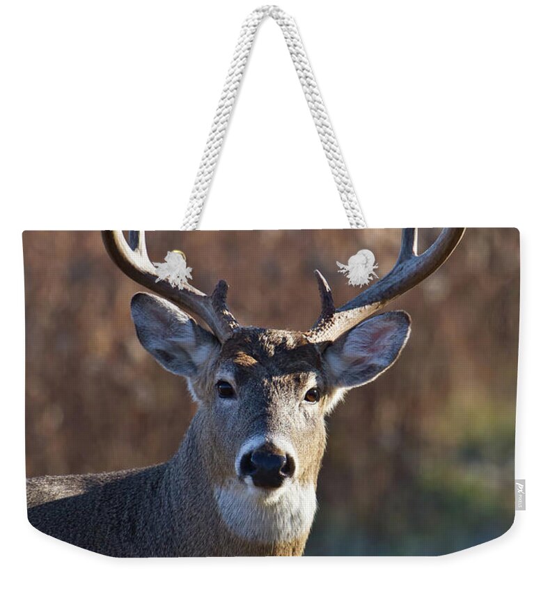 Horned Weekender Tote Bag featuring the photograph Whitetail Deer Buck by Straublund Photography