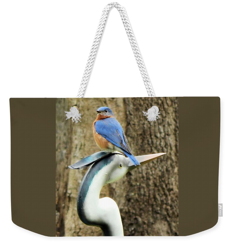 Birds Weekender Tote Bag featuring the photograph Who's the Boss? by Karen Stansberry