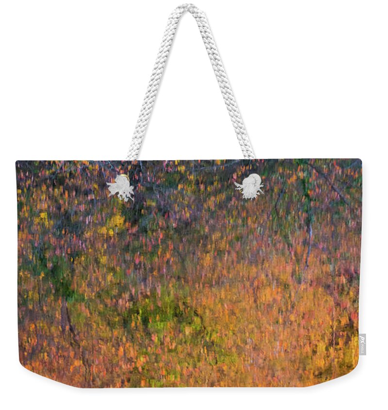 Wild Cherry Weekender Tote Bag featuring the photograph Wild Cherry tree in the Fall, golden reflections on the river by Anita Nicholson