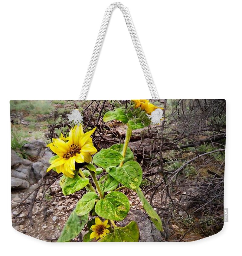 Arizona Weekender Tote Bag featuring the photograph Wild Desert Sunflower by Judy Kennedy