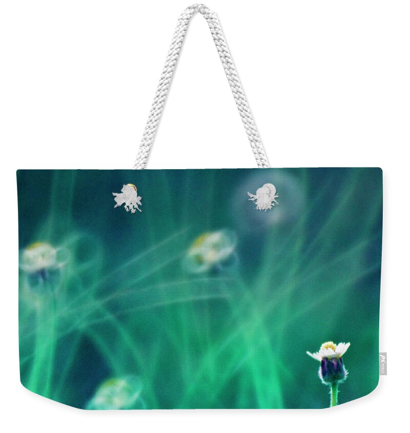 Tanzania Weekender Tote Bag featuring the photograph Wild Flowers In Garden by Twomeows