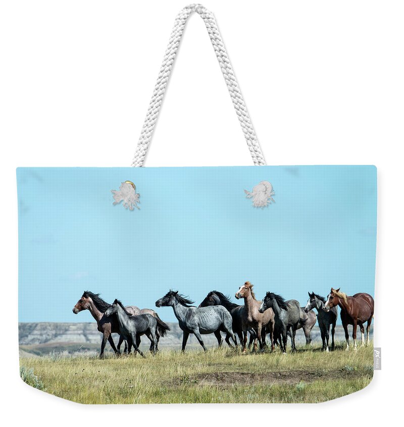 Horse Weekender Tote Bag featuring the photograph Wild Horse In Theodore Roosevelt Natl by Mark Newman