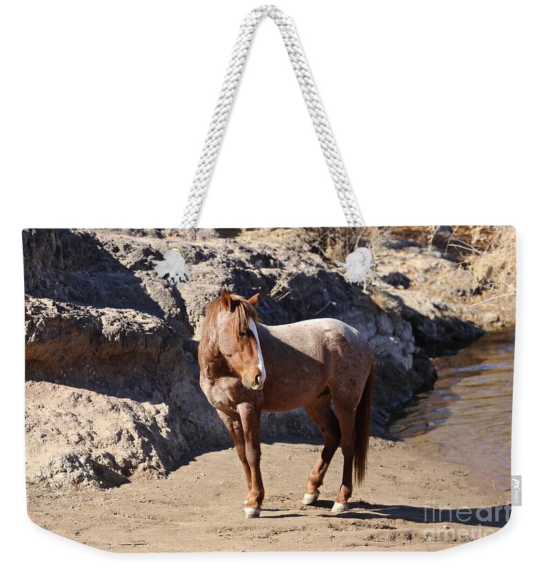 Wild Horse Weekender Tote Bag featuring the photograph Wild Horse by Kate Purdy