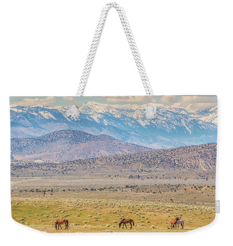 Nevada Weekender Tote Bag featuring the photograph Wild Horses Above Carson Valley by Marc Crumpler
