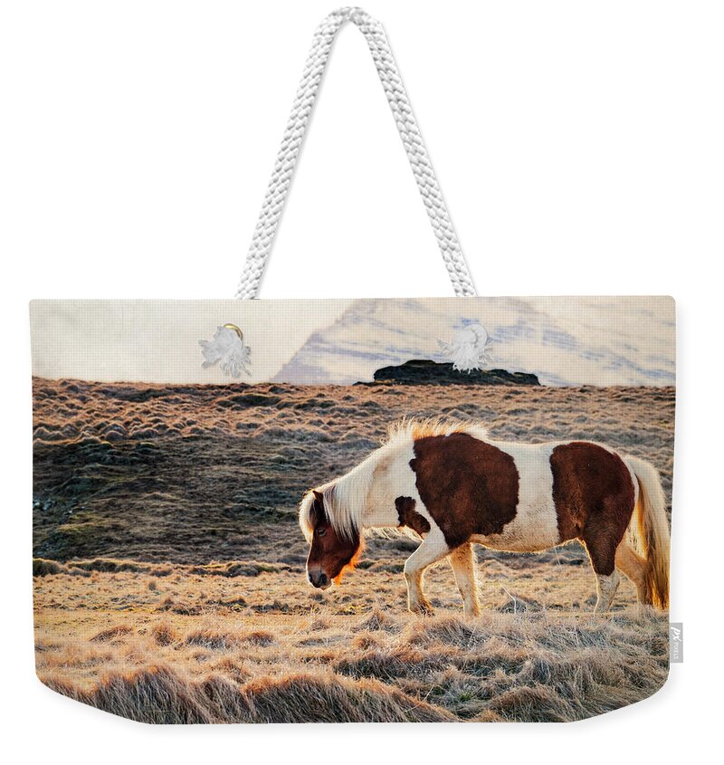 Horse Weekender Tote Bag featuring the photograph Wild Icelandic Horse by Kathryn McBride