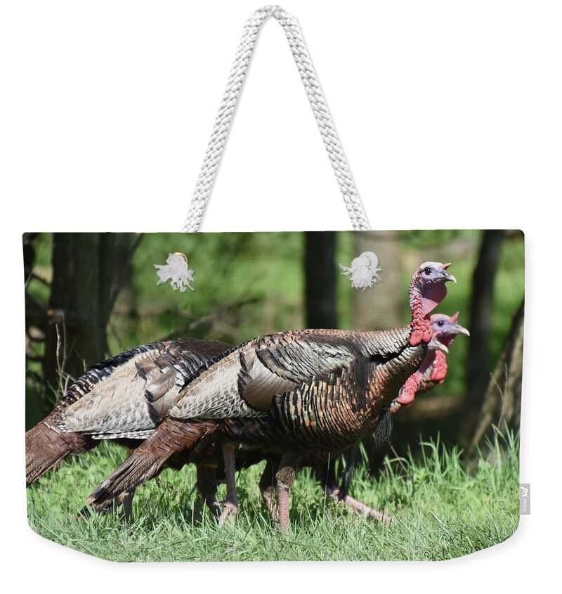 Wild Turkey Art Weekender Tote Bag featuring the photograph Wild Turkeys 507 by Joyce StJames