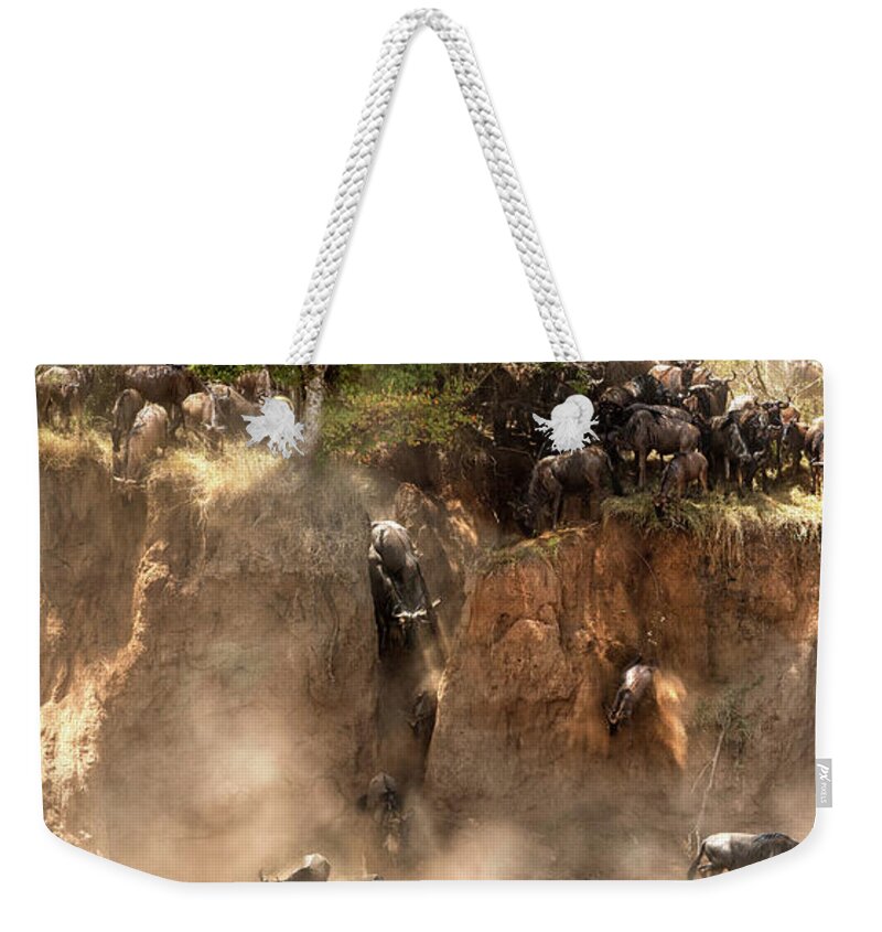 Mara Weekender Tote Bag featuring the photograph Wildebeest jump from the banks of the Mara by Jane Rix