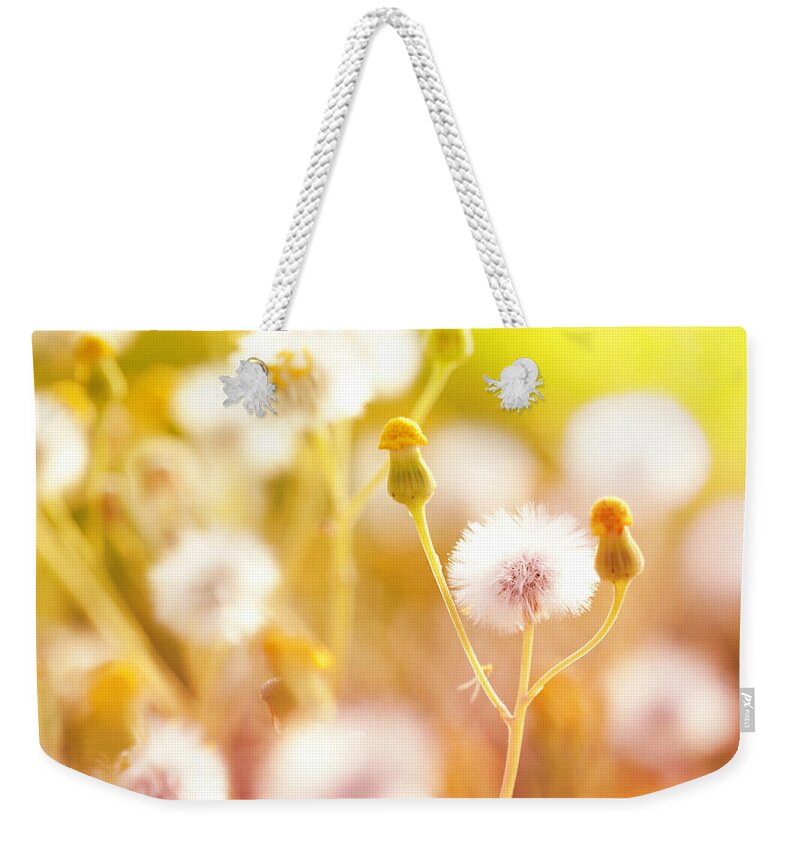 Orange Color Weekender Tote Bag featuring the photograph Wildflower Background by Jasmina007