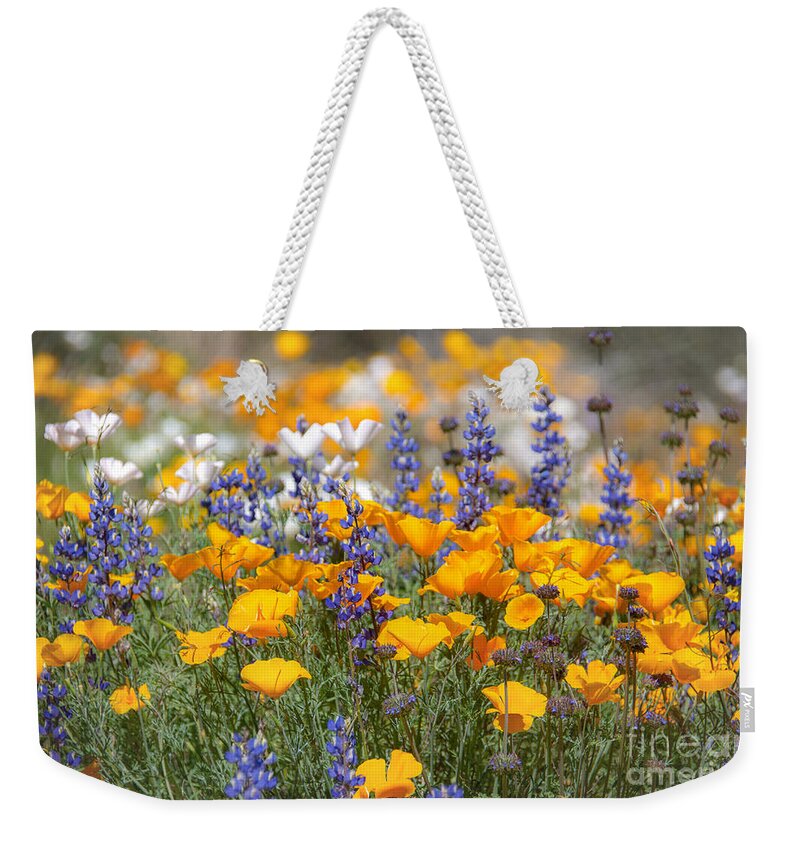 Wildflowers Weekender Tote Bag featuring the photograph Wildflowers in Bloom by Lisa Manifold