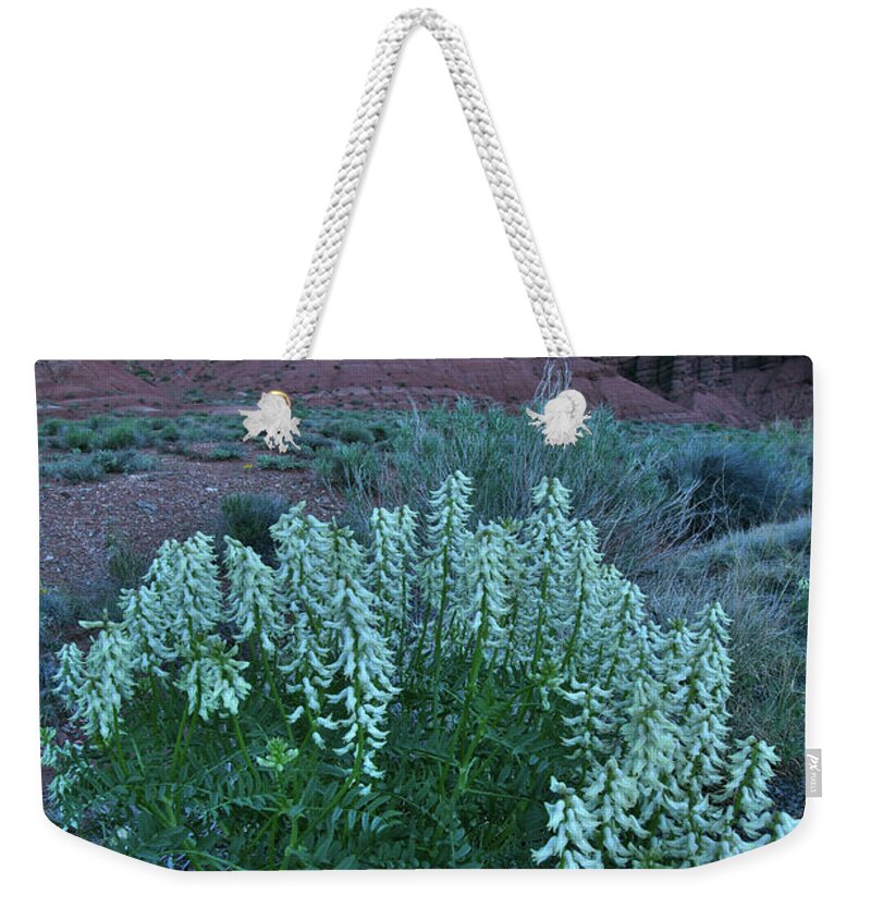 Capitol Reef National Park Weekender Tote Bag featuring the photograph Wildflowers in the Dark in Capitol Reef NP by Ray Mathis
