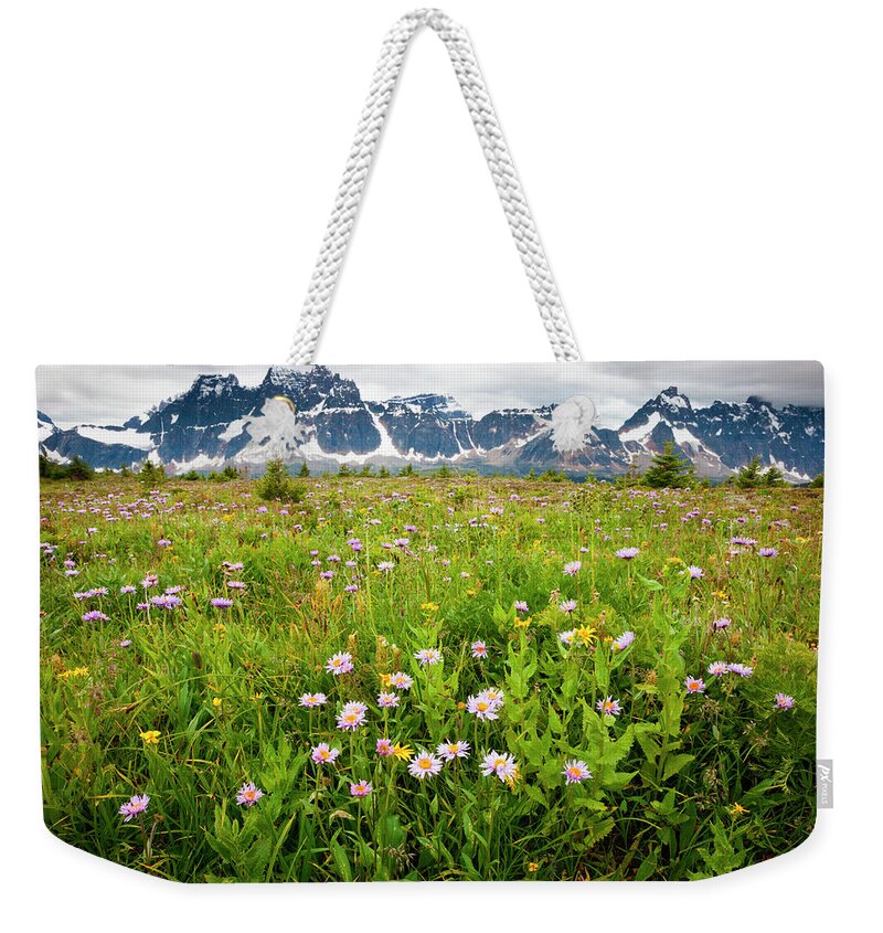 Grass Family Weekender Tote Bag featuring the photograph Wildflowers, Jasper National Park by Mint Images/ Art Wolfe