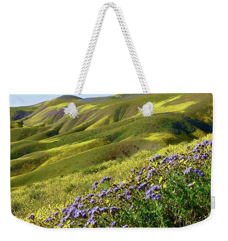 Carrizo Plain Weekender Tote Bag featuring the photograph Wildflowers Point Super Bloom by Amelia Racca