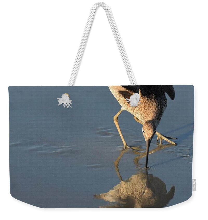 Willet Weekender Tote Bag featuring the photograph Willet And Reflection by Chip Gilbert
